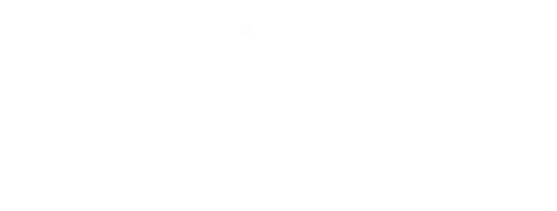 Ylex Architecture